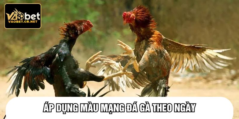 Áp dụng màu mạng đá gà theo ngày