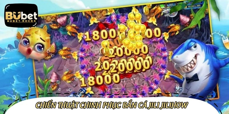 Kinh nghiệm săn cá jili jilihow hiệu quả cao