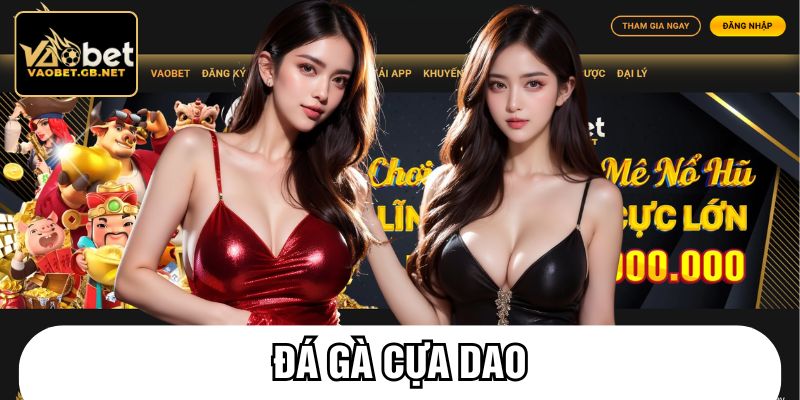 Đá gà cựa dao
