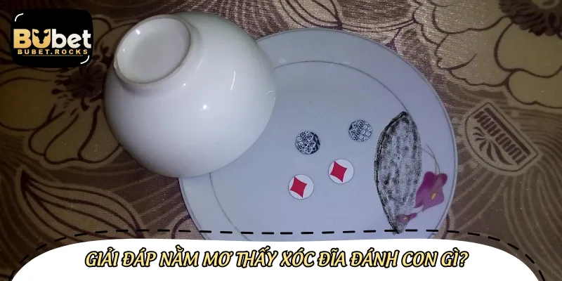 Cụ thể gợi ý nằm mơ đánh xóc đĩa đánh con gì