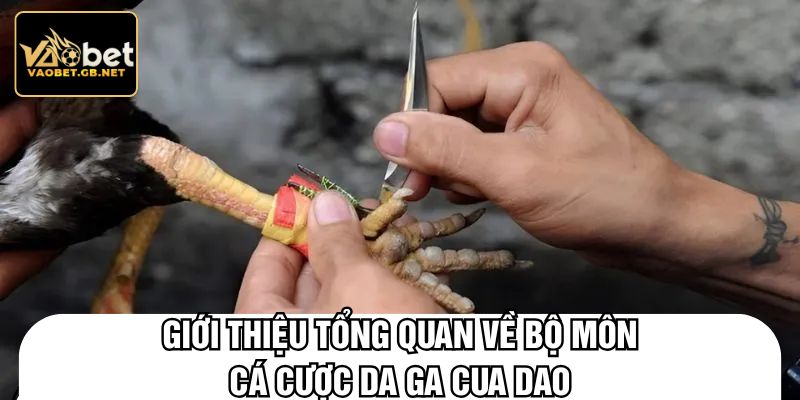 Giới thiệu tổng quan về bộ môn cá cược da ga cua dao