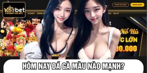 Hôm nay đá gà màu nào mạnh
