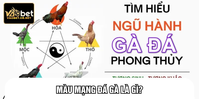 Màu mạng đá gà là gì?