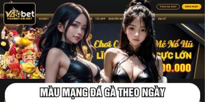 Màu mạng đá gà theo ngày