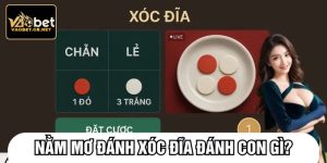 Nằm mơ đánh xóc đĩa đánh con gì?