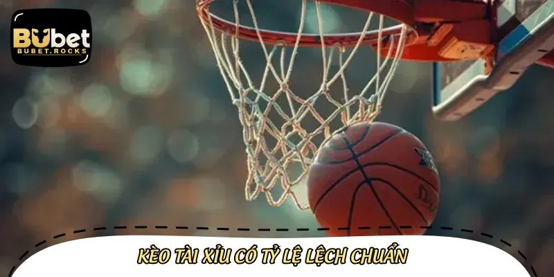 Bet thủ đặt cược kèo tài xỉu để dễ dàng lĩnh thưởng lớn