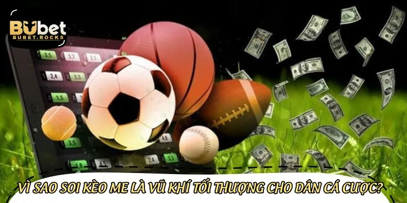 Tầm quan trọng của việc soi kèo với cược thủ