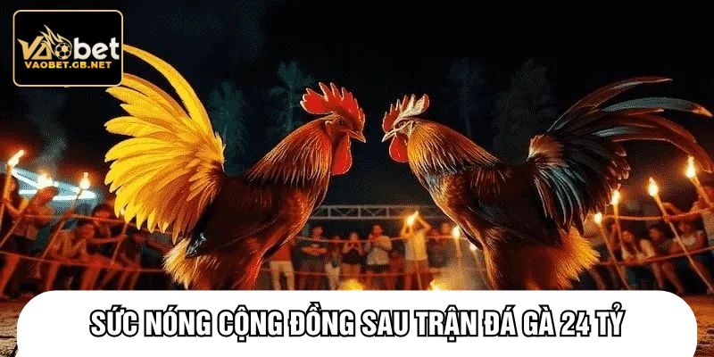 Sức nóng cộng đồng sau trận đá gà 24 tỷ