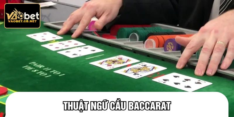 Thuật ngữ cầu baccarat