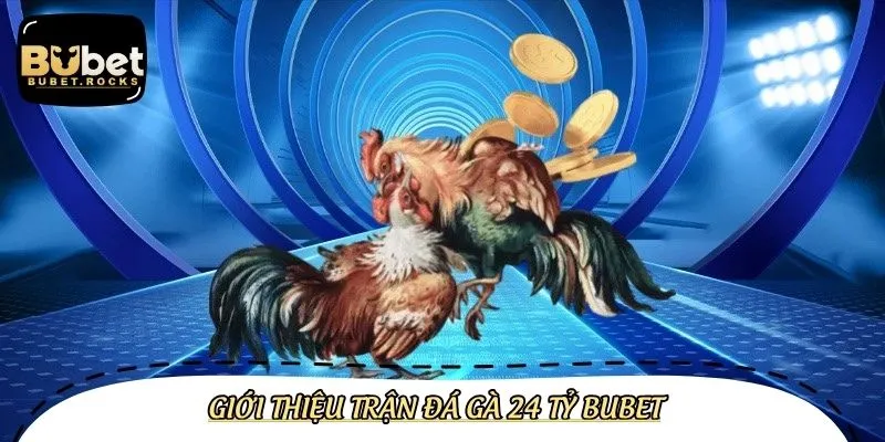 Thông tin sơ lược về trận đá gà 24 tỷ chấn động toàn cầu