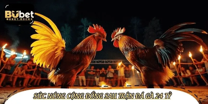 Trận gà 24 tỷ cực Hot