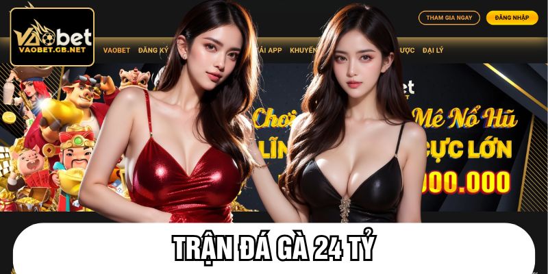 Trận đá gà 24 tỷ