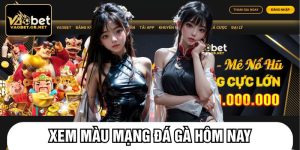 Xem màu mạng đá gà hôm nay