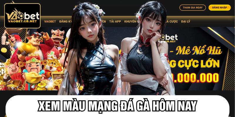 Xem màu mạng đá gà hôm nay