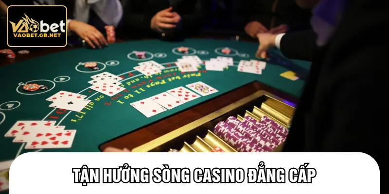 Casino tái hiện không gian sống động và đầy cuốn hút