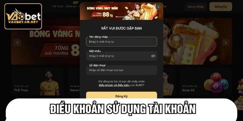 Điều khoản sử dụng tài khoản