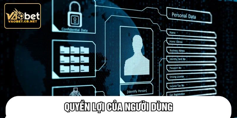 Quyền lợi của người dùng
